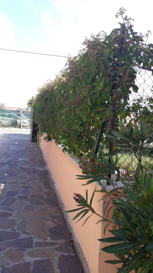 B&B Fiumicino Airport Resort Extérieur photo