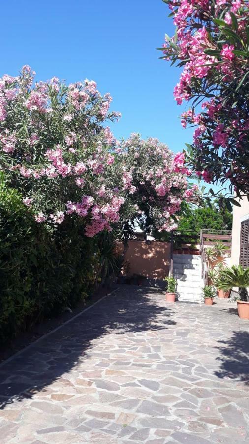 B&B Fiumicino Airport Resort Extérieur photo